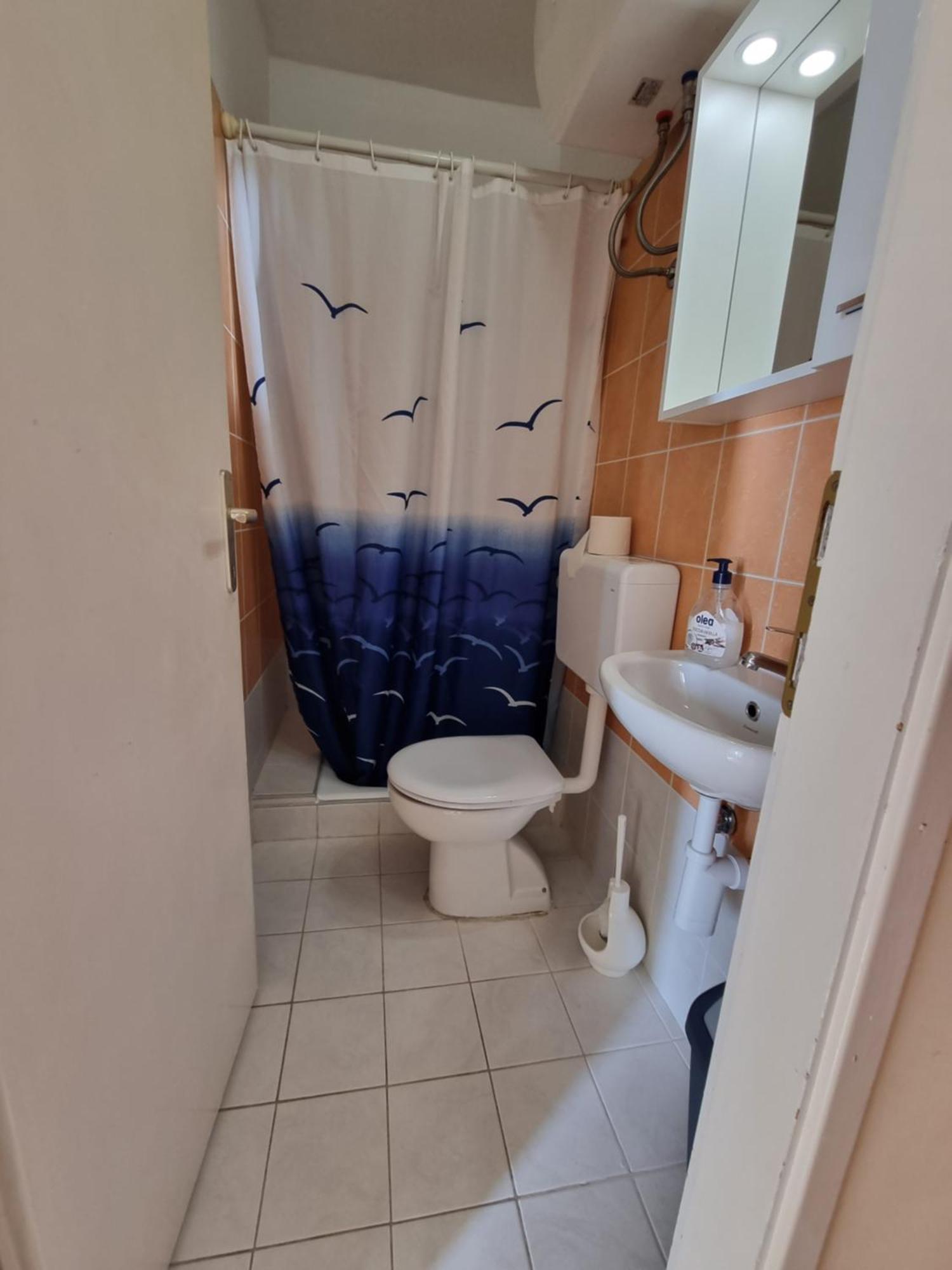Apartmani Apollo - Drasnice Rum bild